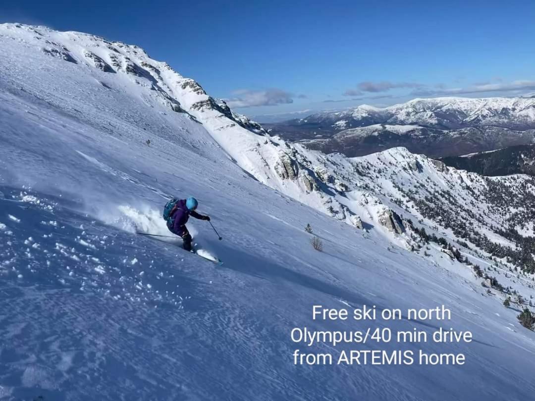 Artemis Home Petra  ภายนอก รูปภาพ